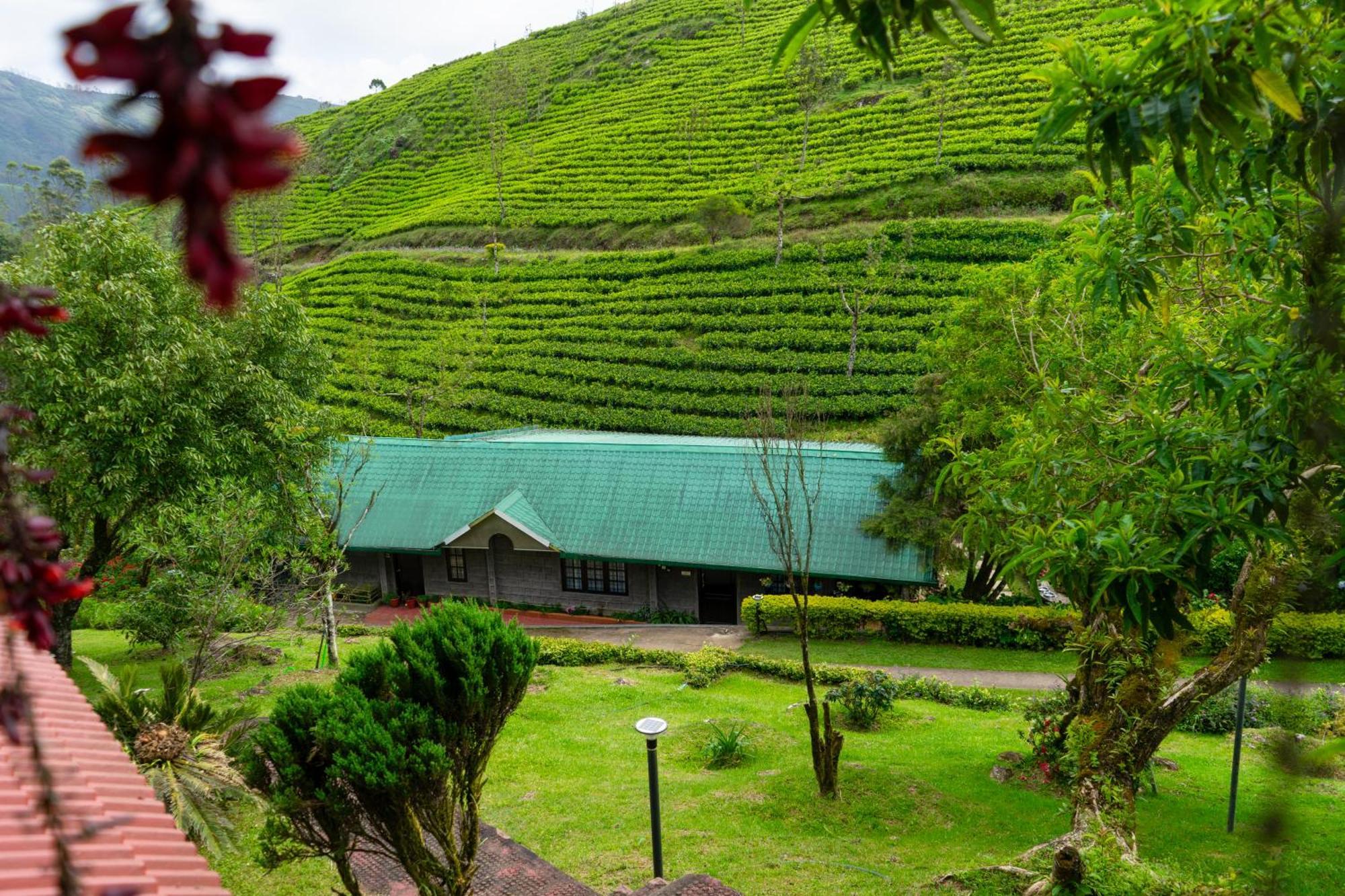 Camelot Resort Munnar Zewnętrze zdjęcie